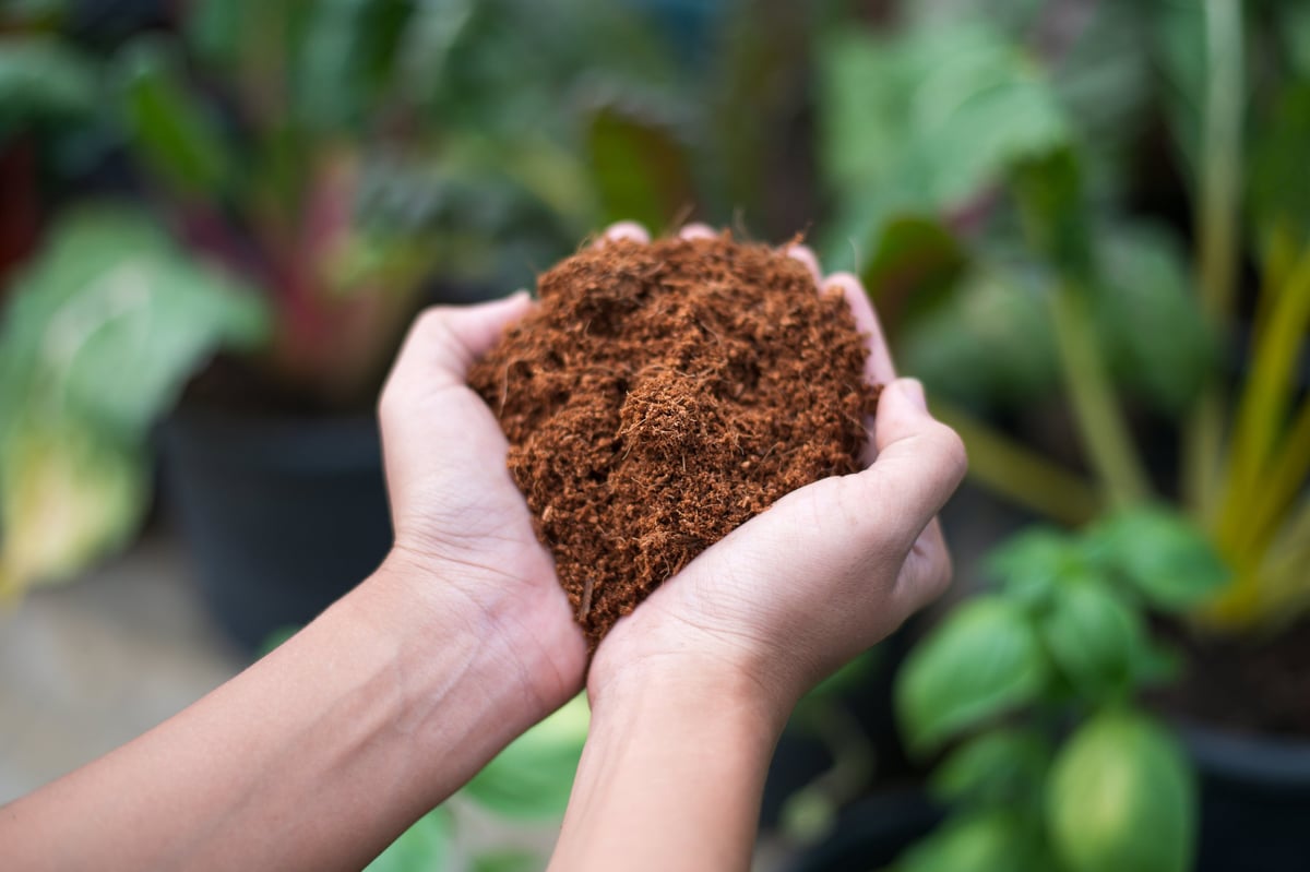 Coconut coir fiber representing Kerala coir exports